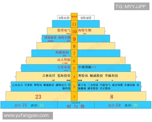 上海羽毛球队与深圳羽毛球队赛后复盘分析比赛节奏与战术对比