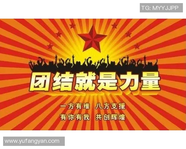 深圳排球队精英赛点评团队协作表现展现团结力量与战术配合的重要性